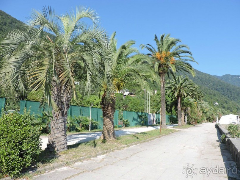 Авто путешествие по Абхазии. 2 часть общего путешествия.