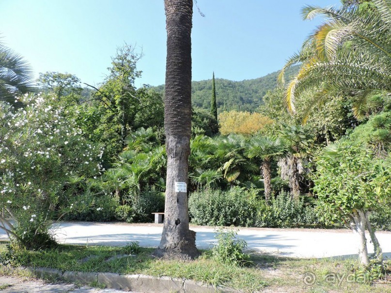 Авто путешествие по Абхазии. 2 часть общего путешествия.