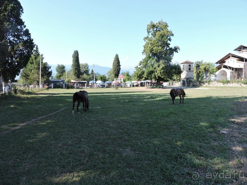 Авто путешествие по Абхазии. 2 часть общего путешествия.