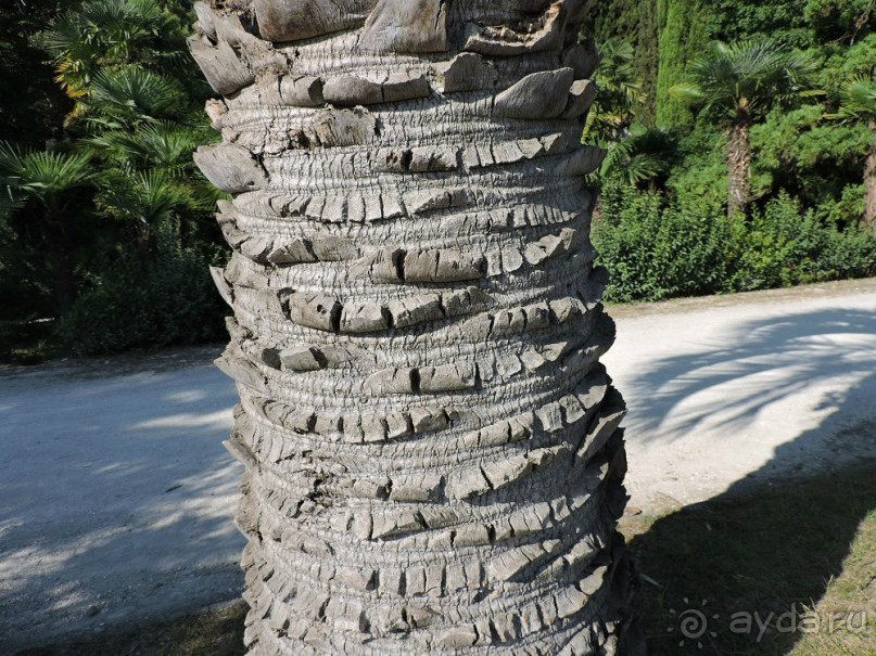 Авто путешествие по Абхазии. 2 часть общего путешествия.