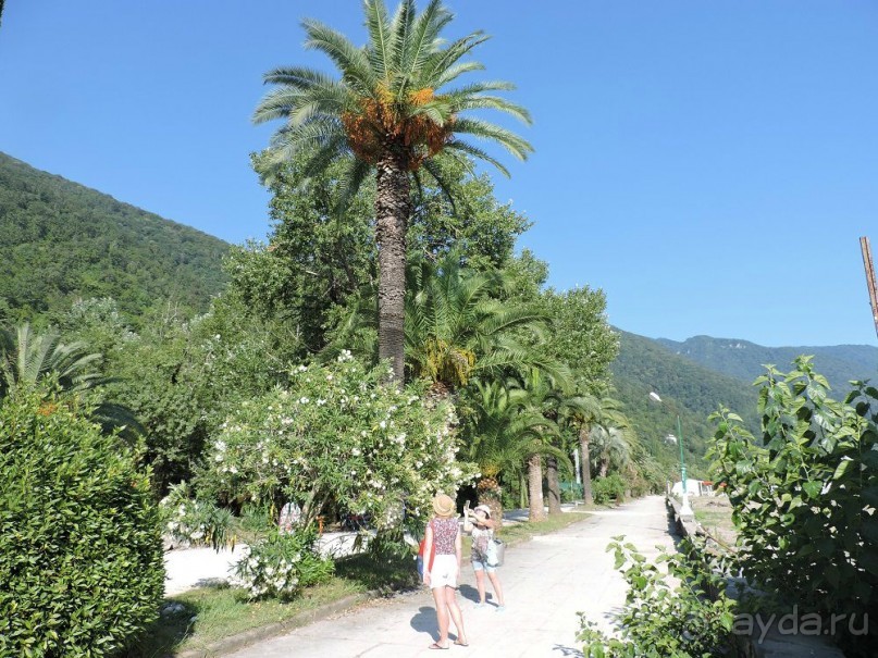 Авто путешествие по Абхазии. 2 часть общего путешествия.