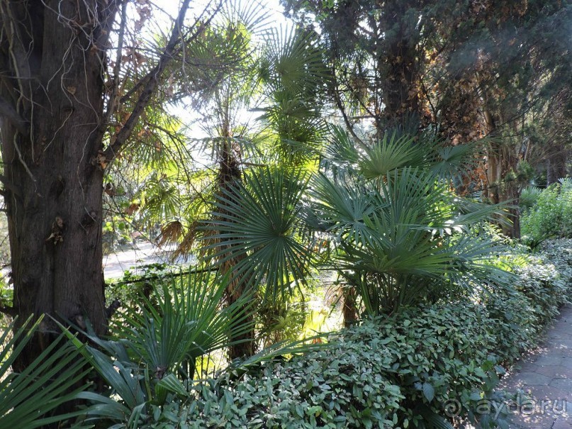 Авто путешествие по Абхазии. 2 часть общего путешествия.