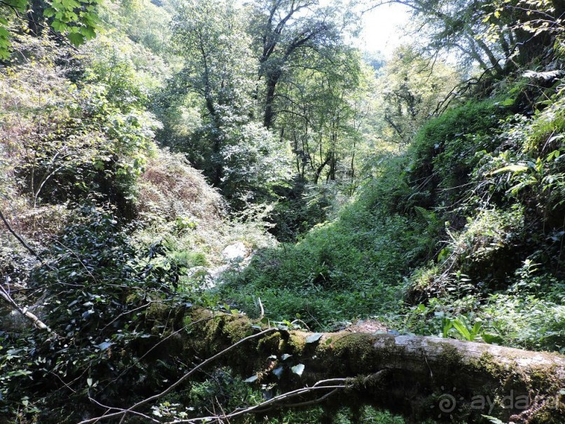 Авто путешествие по Абхазии. 2 часть общего путешествия.