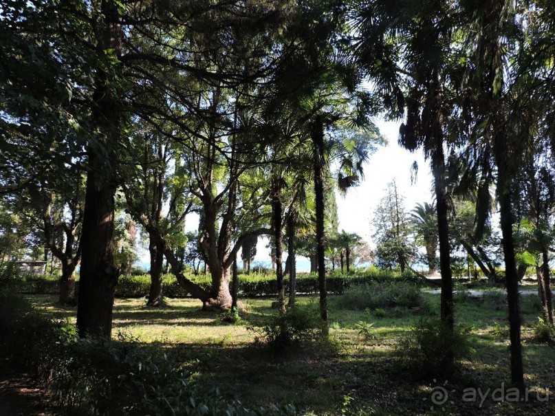 Авто путешествие по Абхазии. 2 часть общего путешествия.