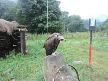 Авто путешествие по Северному Кавказу. 3 часть общего путешествия