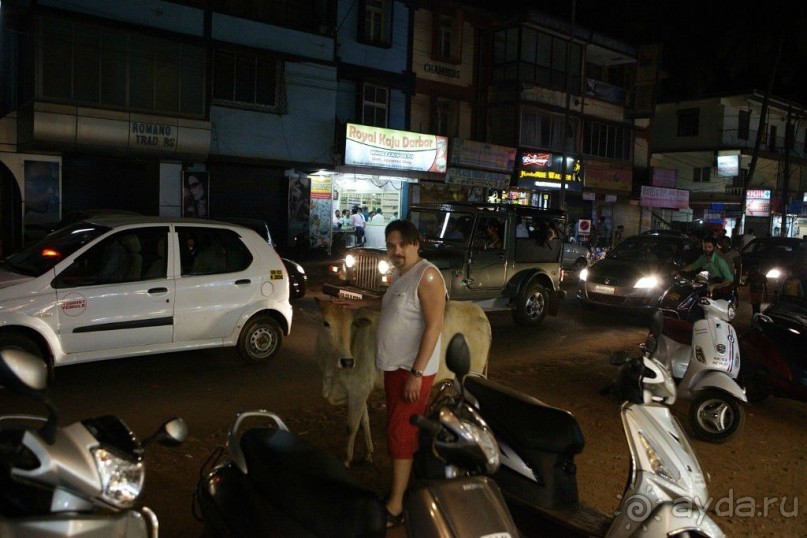 Нам понравилось