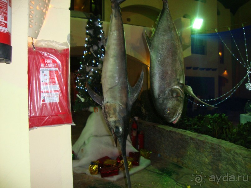 Отель красивый, расположение хорошее, но грязь в номерах...