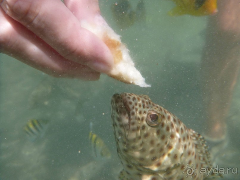 В Египте все спокойно!