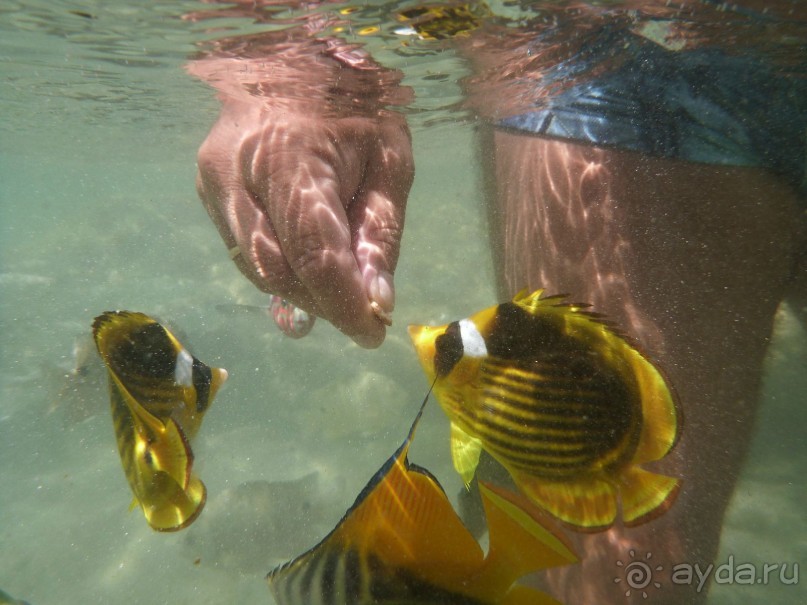В Египте все спокойно!