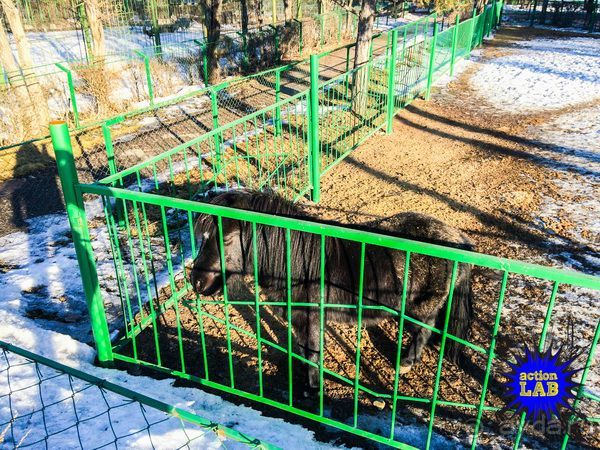 Необычный Фрирайд и Бэккантри в Киргизии. Часть 03: Достопримечательности и природа Каракола