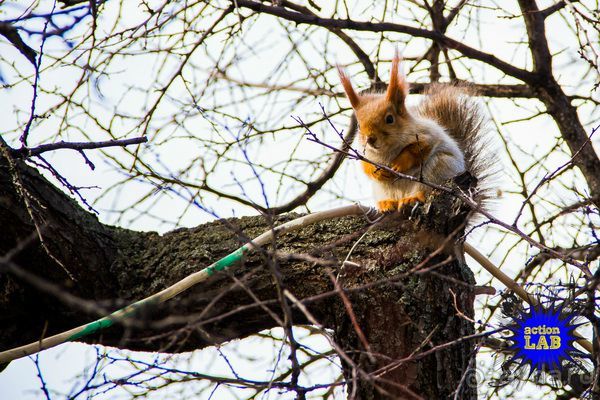 Необычный Фрирайд и Бэккантри в Киргизии. Часть 03: Достопримечательности и природа Каракола