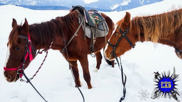 Необычный Фрирайд и Бэккантри в Киргизии. Часть 01: О горнолыжной базе Каракол и климате