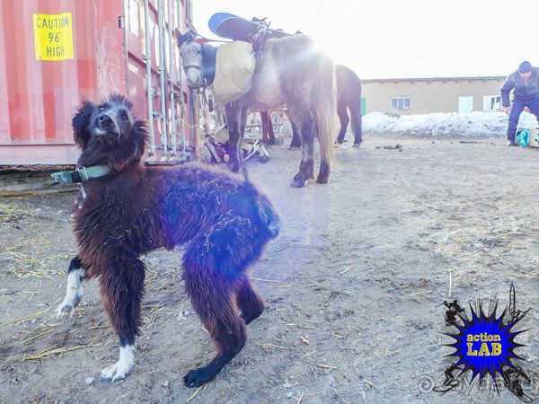 Необычный Фрирайд и Бэккантри в Киргизии. Часть 02: Подробнее о фрирайде и бэккантри в Караколе