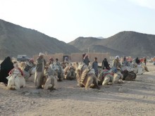 Праздники в Египте