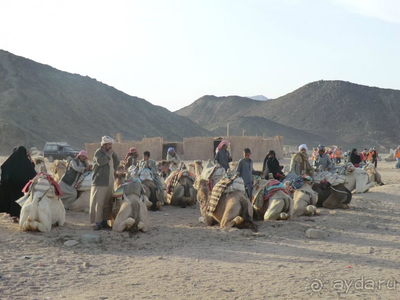 Праздники в Египте