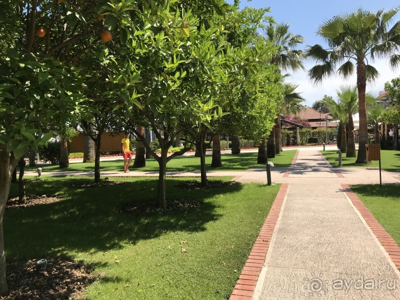 Качественный сервис и спортивный отдых