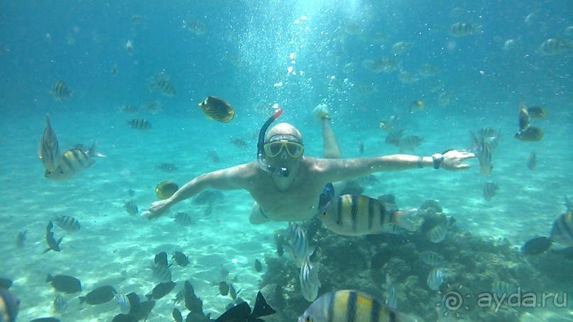 фото Oriental Rivoli Hotel & Spa 