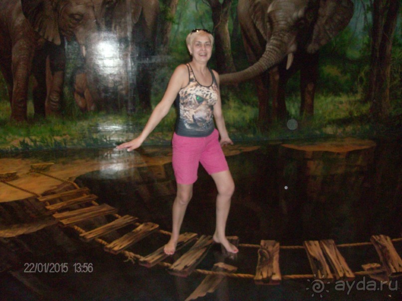 фото Neustifterhof