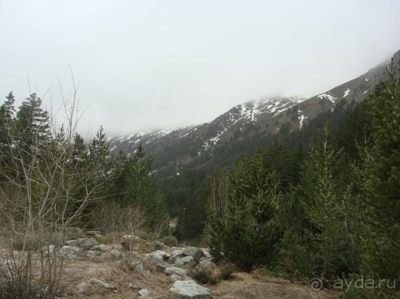 Болгария