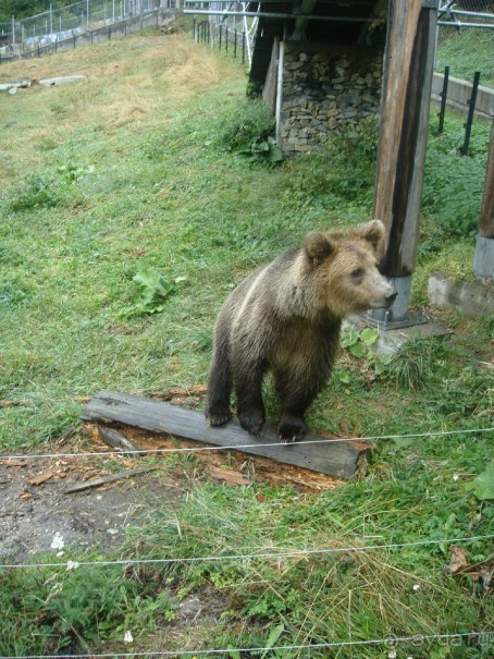Болгария