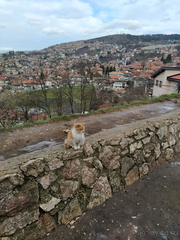 Альбом отзыва "Босния и Сербия: две страны одной балканской медали"