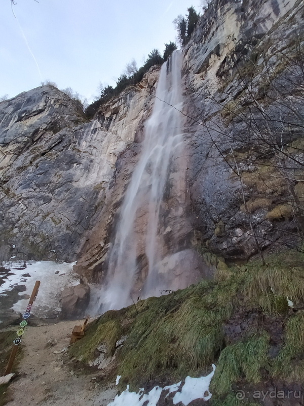 Альбом отзыва "Босния и Сербия: две страны одной балканской медали"