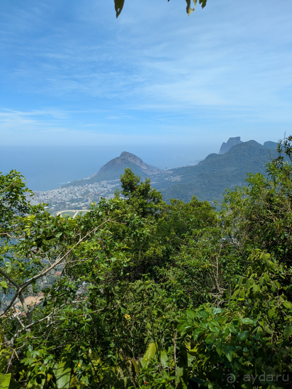 Альбом отзыва "О Рио,Рио, грохот прилива, шум прибоя, южный размах - ax!"