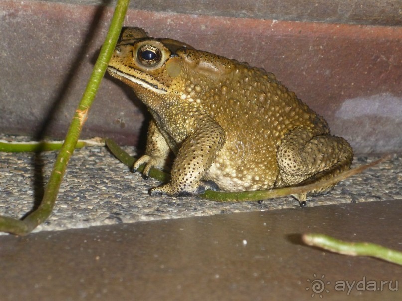 Остров и дом Солнца