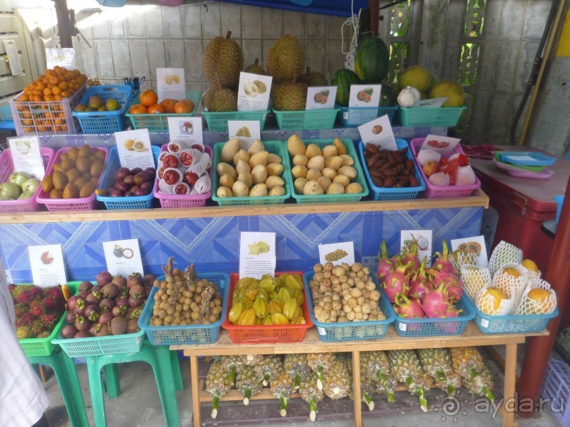 Остров и дом Солнца