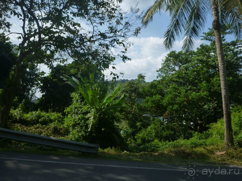 Остров и дом Солнца