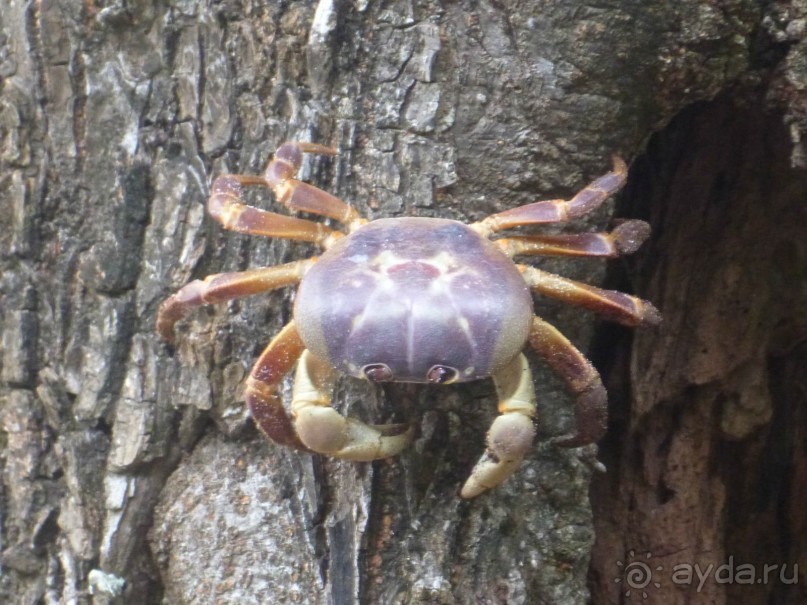 Остров и дом Солнца