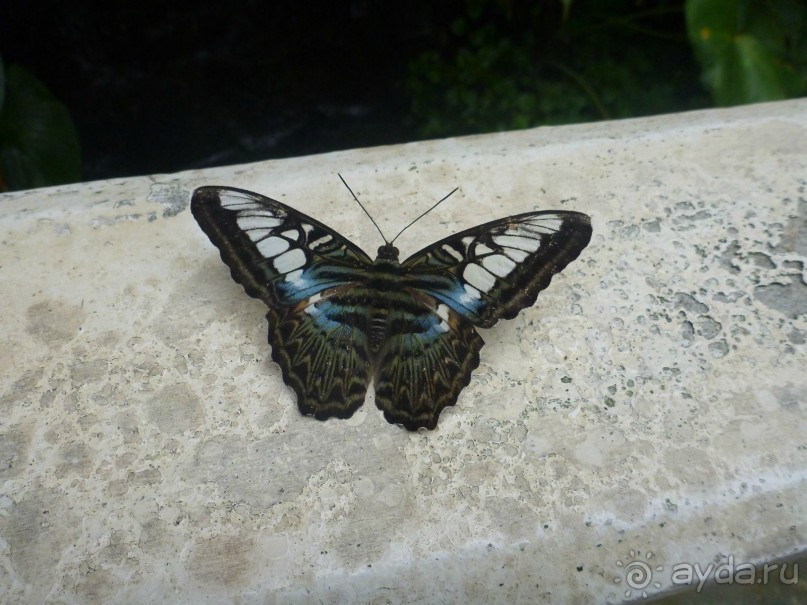 Остров и дом Солнца