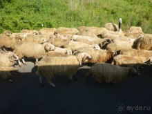 Под Чёрными горами