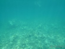 Под Чёрными горами