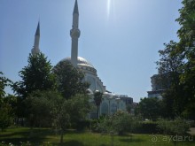 Под Чёрными горами