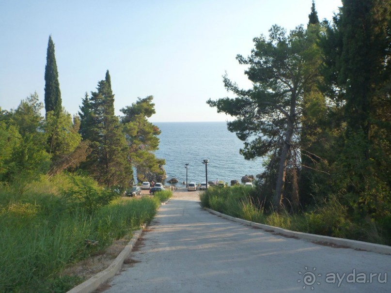 Под Чёрными горами