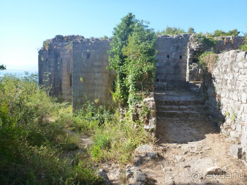 Под Чёрными горами