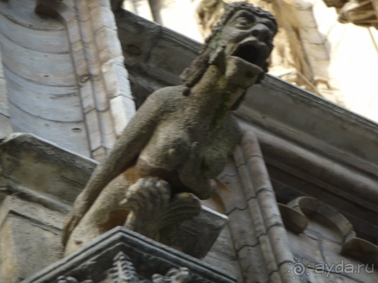 Три дня в Брюсселе