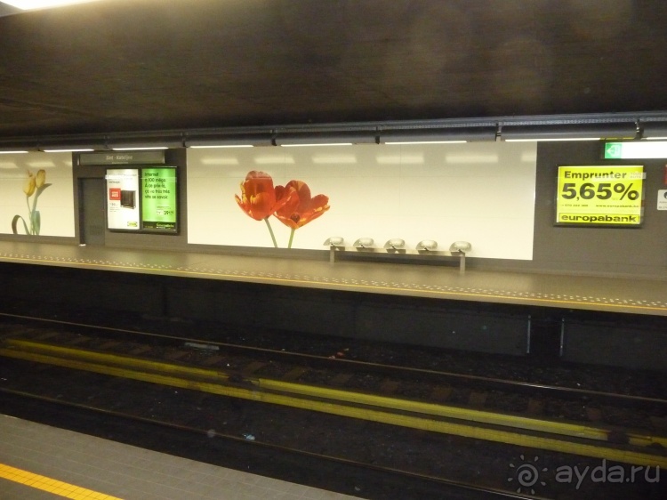 Три дня в Брюсселе