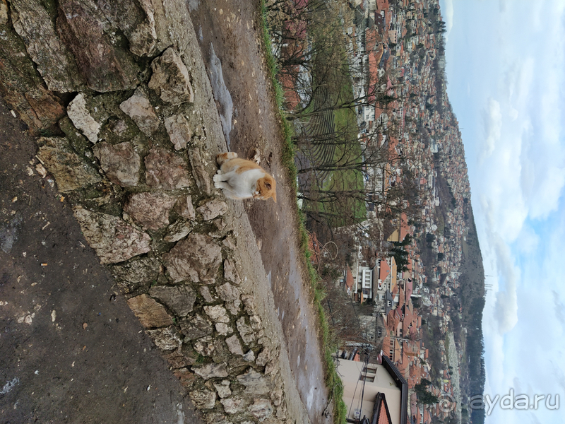 фото Белграда