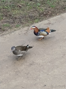 Польша: от крайнего севера до крайнего юга