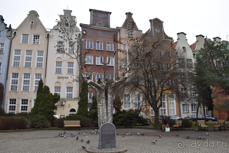 Альбом истории "Польша: от крайнего севера до крайнего юга"