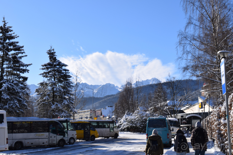 Альбом истории "Польша: от крайнего севера до крайнего юга"