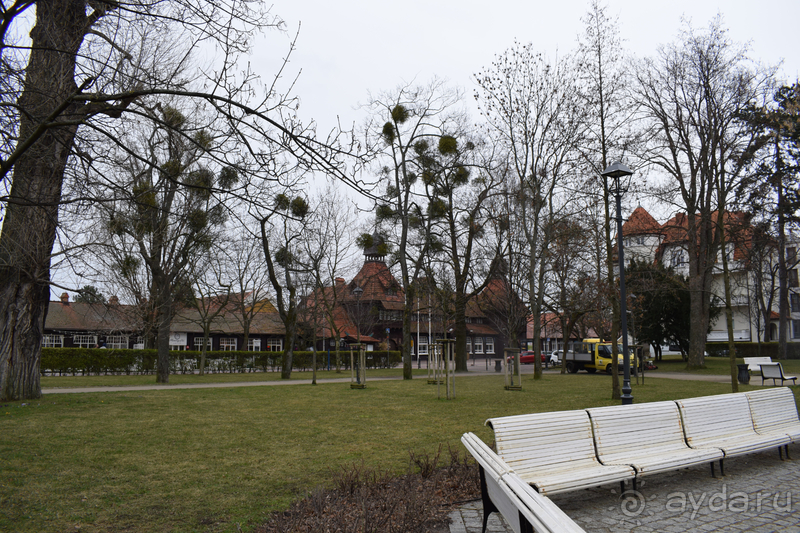 Альбом истории "Польша: от крайнего севера до крайнего юга"