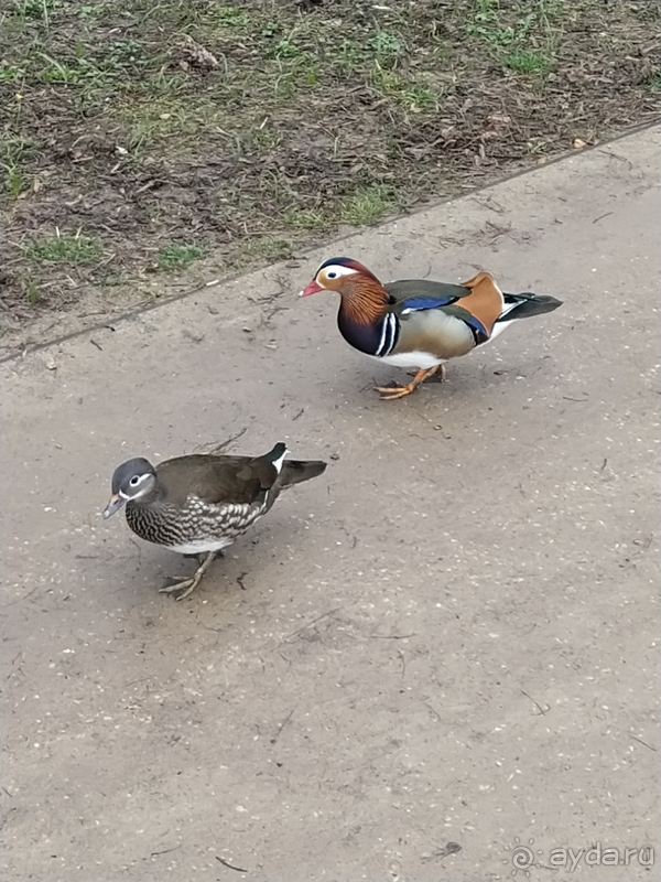 Альбом истории "Польша: от крайнего севера до крайнего юга"