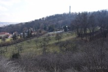 6 ночей в Склепе