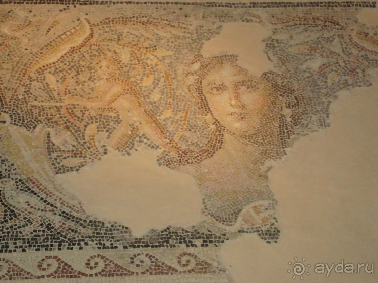 Ай гоу ту Хайфа*