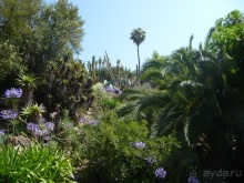 Немного испанского сюрреализма под сангрию