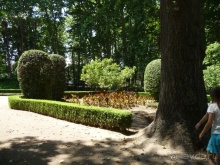 Немного испанского сюрреализма под сангрию