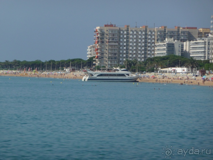 Немного испанского сюрреализма под сангрию